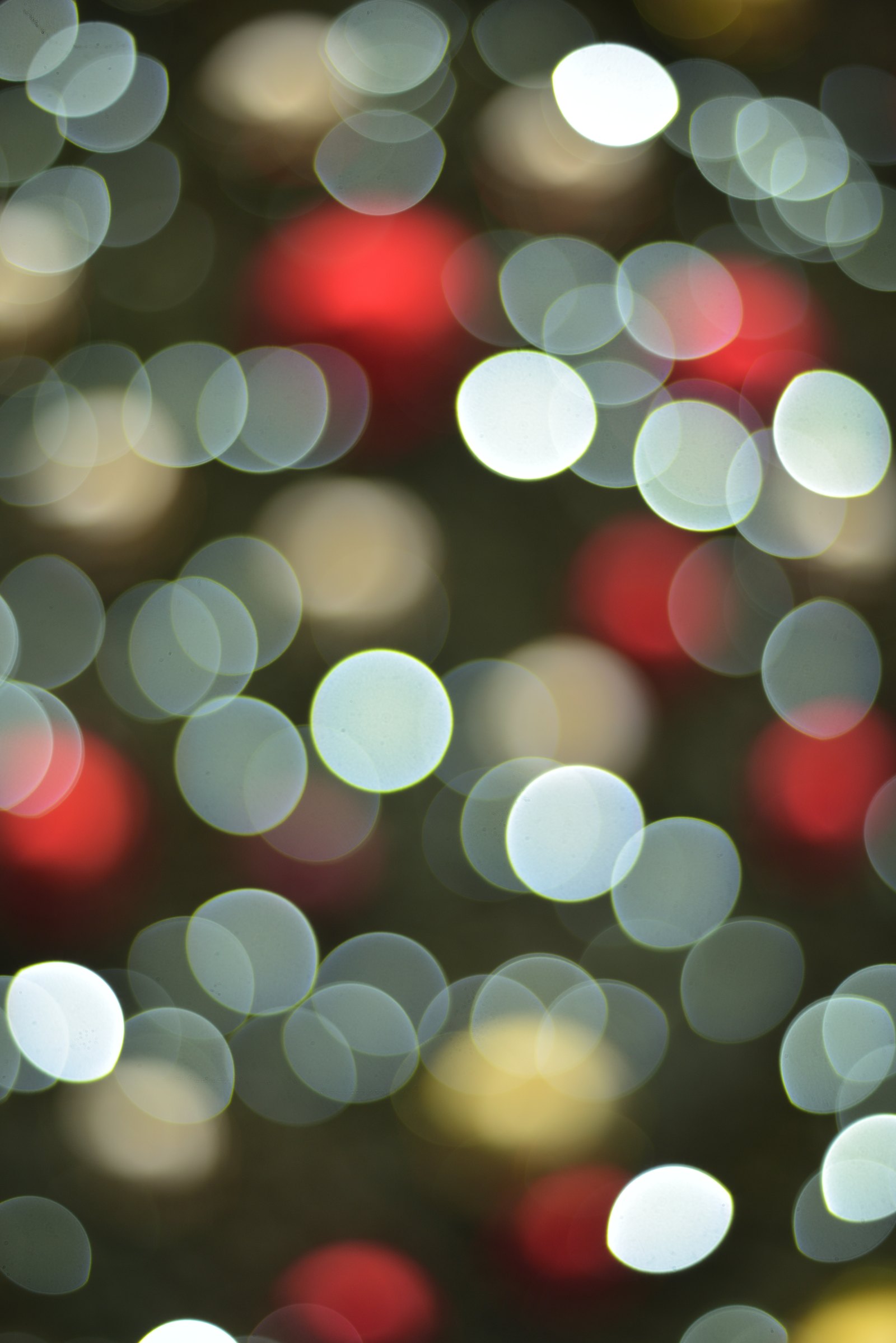 Circular bokeh highlights from a 50mm lens