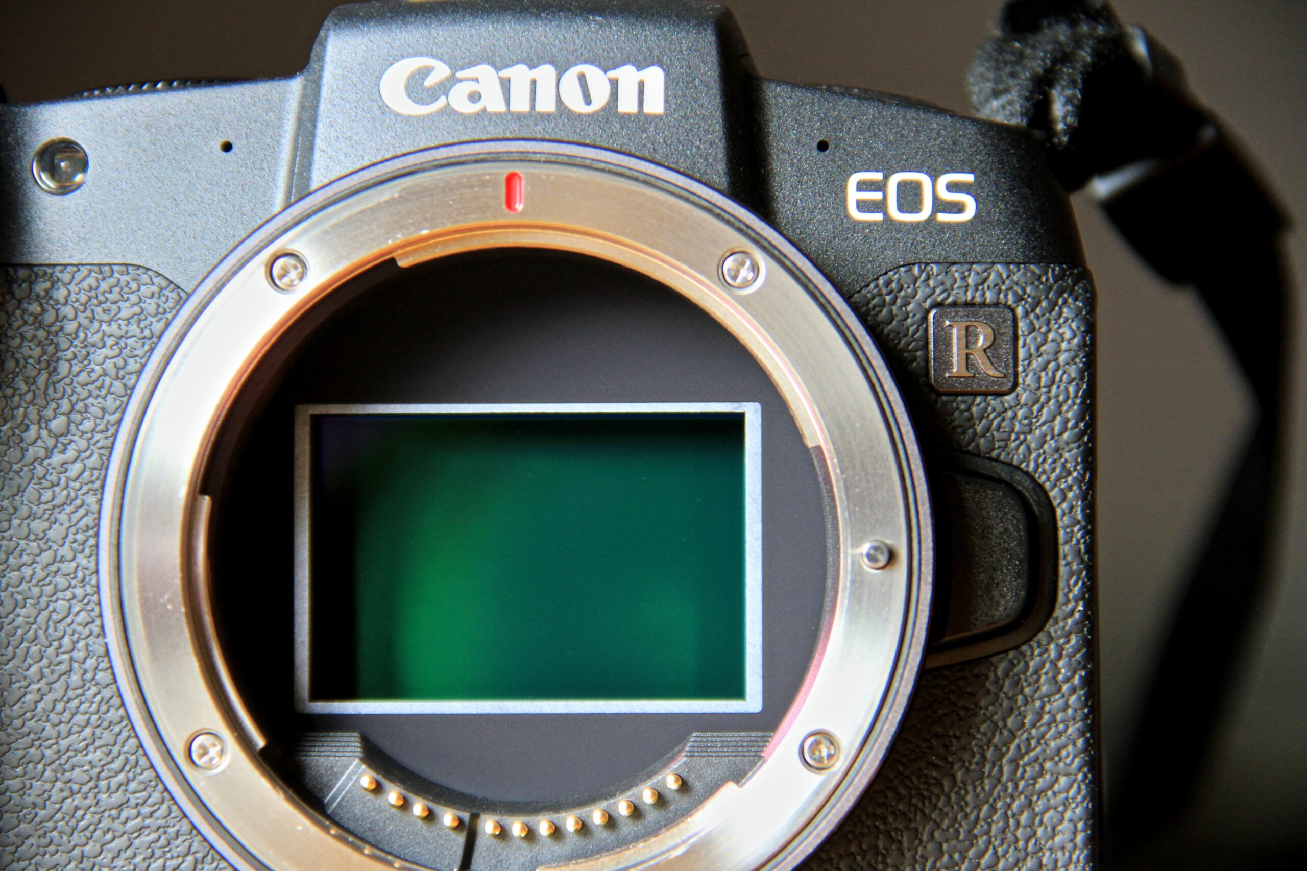 26.2 MP CMOS full-frame sensor of a Canon EOS RP mirrorless camera