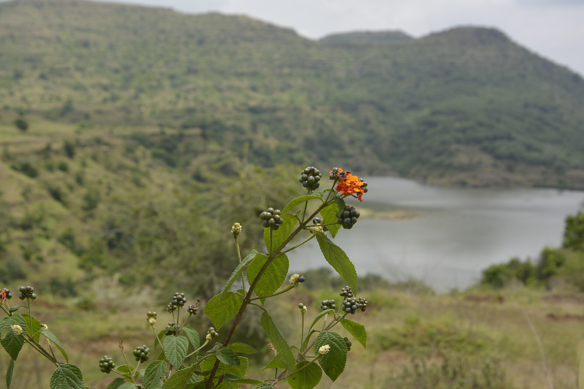A deep depth of field landscape with front-to-back sharpness