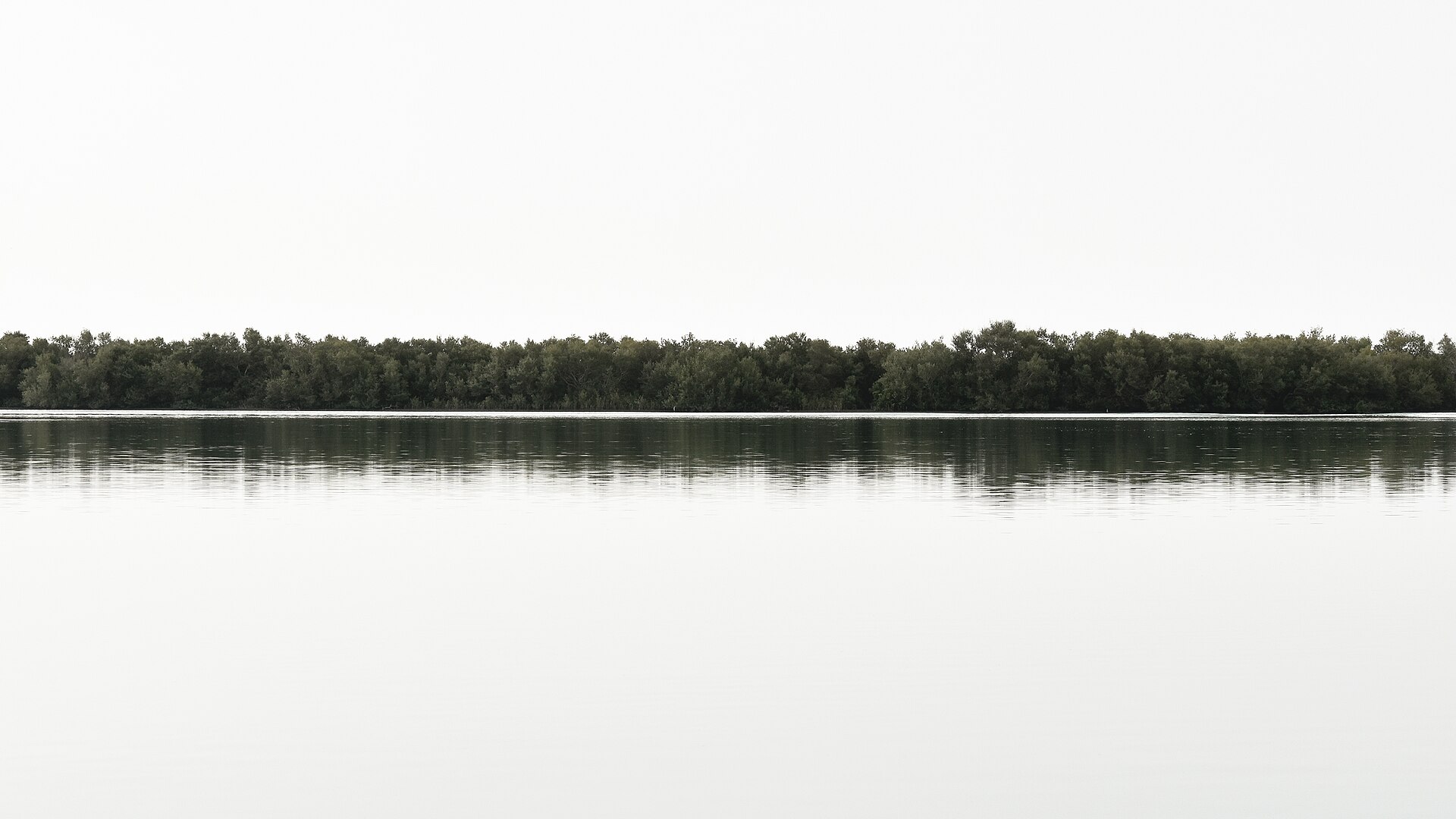 A seascape whose tonal distribution a histogram maps