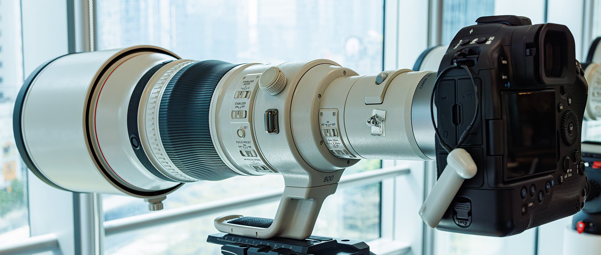Canon EOS R1 with RF 800mm F5.6L IS USM lens