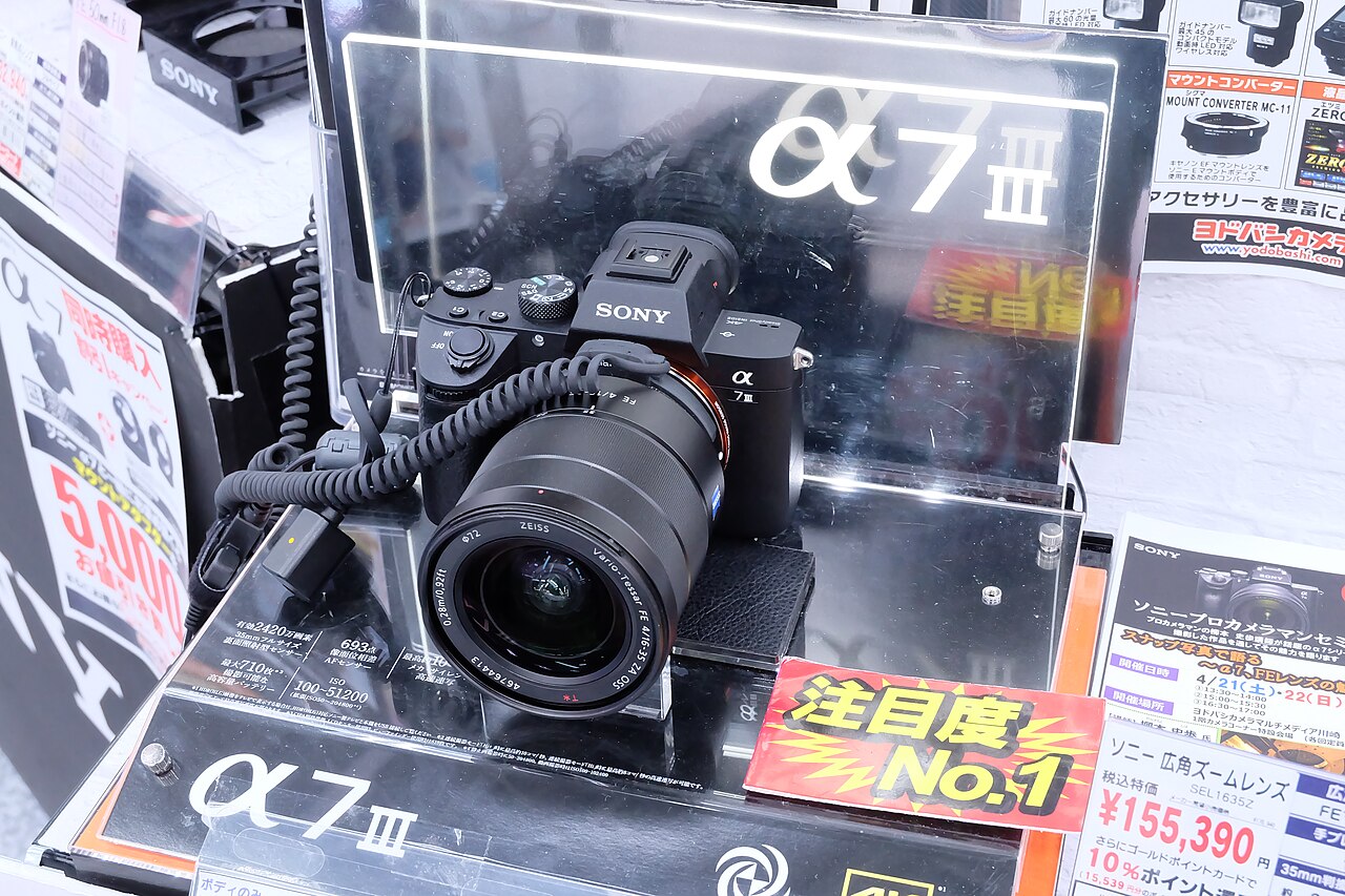 Sony mirrorless camera