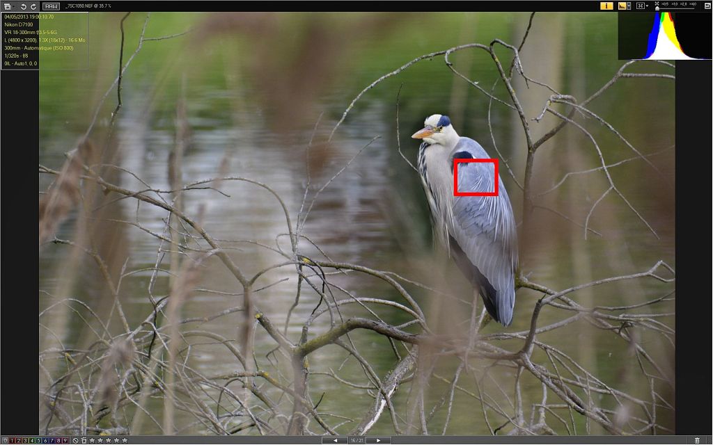Autofocus zone selection grid on a camera screen
